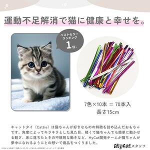 猫 おもちゃ 玩具 一人遊び 子猫 キャット 運動 遊び道具 キャットタイ