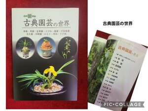 送料込　新品本　『古典園芸の世界』初心者　上級者　春蘭寒蘭富貴蘭えびね蕙蘭中国春蘭長生蘭羽蝶蘭おもと巻柏その他　　