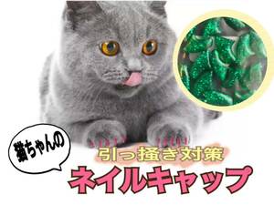 新品 緑 緑ラメ グリーンラメ ネイルキャップ　猫　ネコ　ネイル キャップ 爪 爪対策　ひっかき対策　ひっかき　バリバリ　バリバリ対策