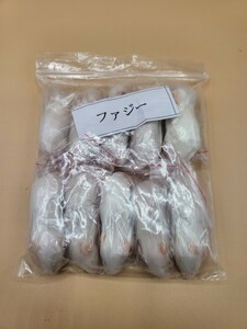 【送料無料・クール便発送】冷凍ファジーマウス(約5.5cm)　10匹入り×2個セット