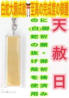 蛇の抜け殻✨スティック✨縦長✨両面金色台紙✨白蛇のお守り【天赦日ご祈祷済み】A