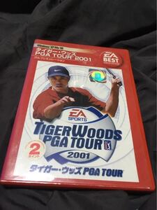 win タイガーウッズ PGAツアー 2001 即売