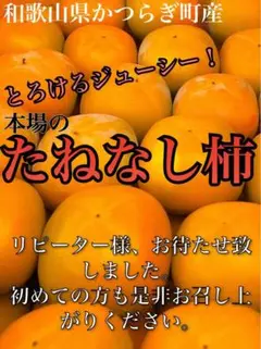 コンパクトbox❣️甘くてジューシーな種なし柿❣️ご家庭用