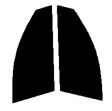 スモーク　２６％　運転席、助手席　ティアナ J31　カット済みフィルム　国産