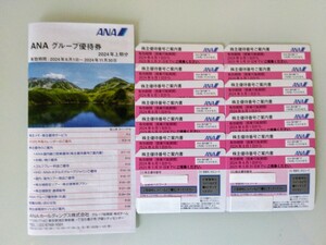 ★送料無料★ 最新　ANA　株主優待券 14 枚　有効期限　2025年5月31日迄　ANAグループ優待券　2024年11月30日迄　全日空