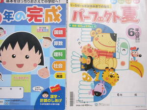 小学6年まとめ（ジャンク：解なし）セット/「新版 基本をばっちりおさえて中学校へ！ 6年の完成」＋ぶんけい「パーフェクト夏 6年B」