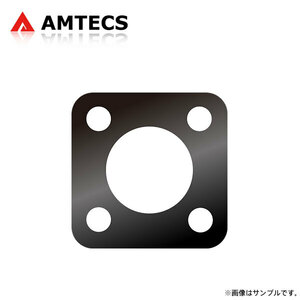 AMTECS アムテックス SPC 71861 リアキャンバープレート ±0.50°(0°30