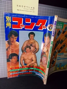 同梱OK◆別冊ゴング(昭和54年/1979年6月号)ピンナップ「ボブバックランド&リッキースティムボード」「力道山&馬場」「マードック」付