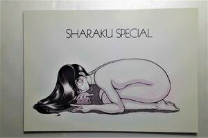 ◆古い同人誌 STUDIO写裸苦 ●SHARAKU SPECIAL [きまぐれオレンジロード 鮎川まどか/らんま１/2 シャンプー/エスパー魔美/ボンデージ BD]