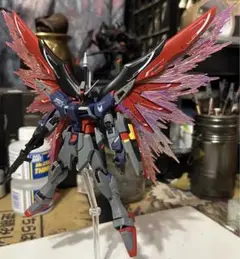 HGCEデスティニーガンダムspecii完成品 全塗装