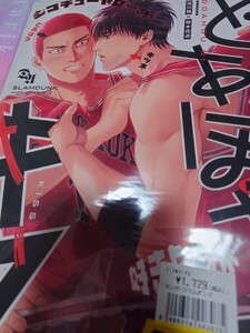 SLAM DUNK スラムダンク 同人誌【 流花 流川×花道 流川 楓 × 桜木 花道 花道受 】どあほうにキス