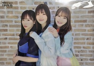 日向坂46 日経エンタテインメント!付録 両面クリアファイル 新品・未開封　