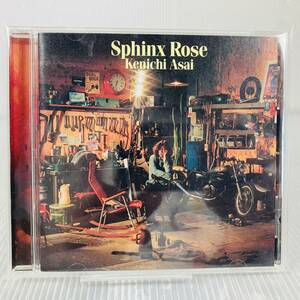 CD350●浅井健一 Sphinx Rose