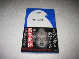 怖い仏教 (小学館新書)