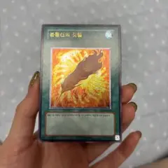 遊戯王 鳳凰神の羽根 韓国 レリーフ 美品