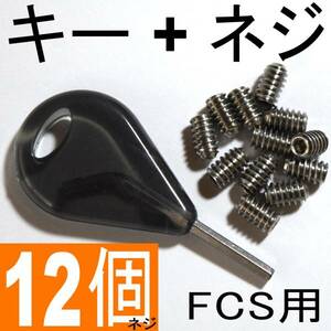 FCSフィン用 フィンキー + 標準ネジ 12個 ステンレス スクリュー 送料：0円 全国