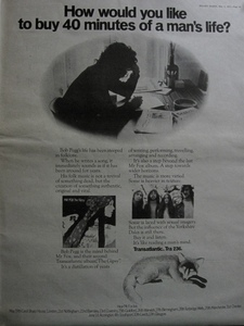 MR. FOX(ミスター・フォックス) f. Bob Pegg／re. Trees◎THE GIPSY◎激レア!! アルバム広告◎MELODY MAKER 原紙[1971年]