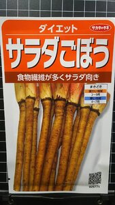 ３袋セット サラダ ごぼう ダイエット 牛蒡 種 郵便は送料無料