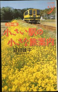 カラー版 小さい駅の小さな旅案内 (COLOR新書y)