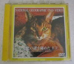 DVD「進化の謎を秘めたネコ」猫 ナショナル・ジオグラフィック/National Geographic CATS