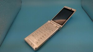 K818 docomo FOMA P-01A Panasonic ガラケー/ケータイ/パナソニック 簡易動作確認＆簡易清掃＆初期化OK 判定○ 現状品 送料無料　