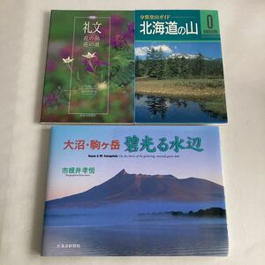 ☆送料無料☆ 北海道の山 分県登山ガイド 山と渓谷社 ／ 新版 礼文 花の島 花の道 大沼・駒ケ岳 碧光る水辺 市根井孝悦 北海道新聞社♪GM02