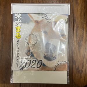 2020 柴犬まる　週めくり卓上カレンダー 小野　慎二郎　著 カレンダー 柴犬