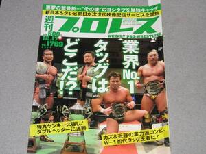 週刊プロレス2014.12.17小橋建太宝城カイリ杉浦貴田中将斗