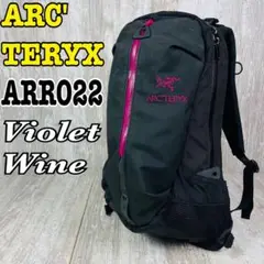 【希少カラー】ARCTERYX アークテリクス ARRO22 アロー22 ピンク