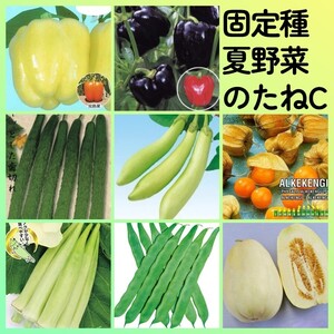 固定種夏野菜の種C◆カラーピーマン浜ニュークリームクロピー四葉胡瓜白長茄子食用ホオズキ白オクラつるありインゲンマンズナル白梨まくわ