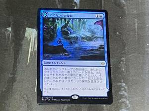 MTG アズカンタの探索/Search for Azcanta Foil 日 1枚迄