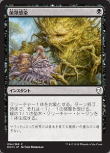 MTG ■黒/日本語版■ 《菌類感染/Fungal Infection》ドミナリア DOM