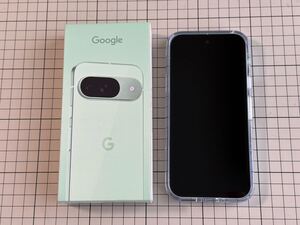 Google Pixel 9 128GB Wintergreen 中古