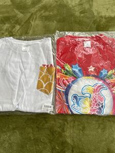 チームしゃちほこ 秋本帆華　Tシャツ 2枚セット　名古屋レッド　M