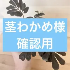 確認用