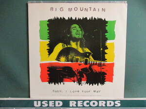 Big Mountain ： Baby, I Love Your Way 12