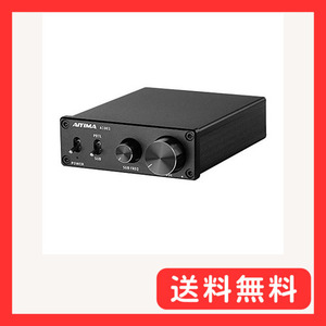 TPA3116D2 100Wサブウーファーアンプ クラスD HiFiモノラルデジタルハイパワーオーディオAmplific