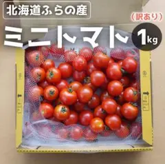 【規格外】北海道富良野産ミニトマト1kg