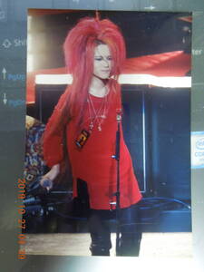 HIDE 写真 ブロマイド 281 / X JAPAN