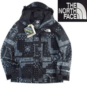 新品◆THE NORTH FACE◆防水 透湿 防風 NOVELTY ECO GORE-TEX マウンテン ジャケット M 黒◆ノースフェイス 1990 ペイズリー柄◆J763