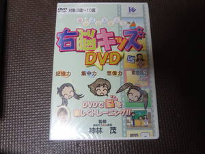 神林式脳力開発法 右脳キッズDVD 未使用