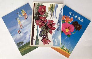 絵葉書　北海道　いい日旅立ち　3枚