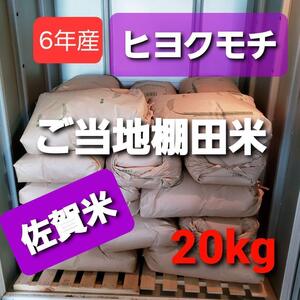 令和6年産棚田育ちのヒヨクモチ20kg 新米