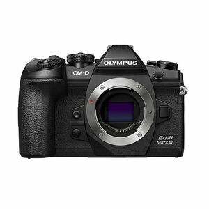 中古 １年保証 美品 OLYMPUS OM-D E-M1 Mark III ボディ