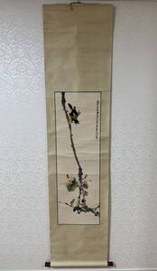 中国 水墨画 鳥の図 趙少昴 落款あり 唐画 本紙サイズ107.5x34cm 肉筆