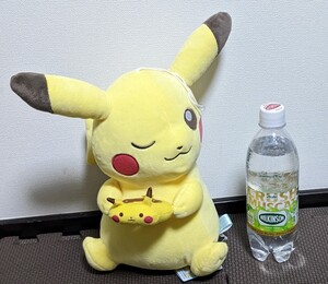 ぬいぐるみ ピカチュウ ポケットモンスター 管理32