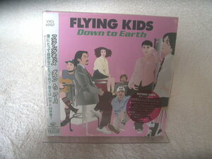 ★未開封★ フライング キッズ 【ダウン トゥ アース】初回盤 FLYING KIDS