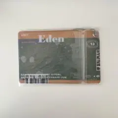 チケットジッパーポーチ　Eden