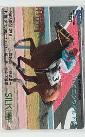 4-p630 競馬 フェミニンワイルド クオカード