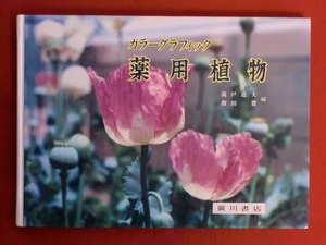 【初版】カラーグラフィック　薬用植物　滝戸道夫・指田豊・編　廣川書店